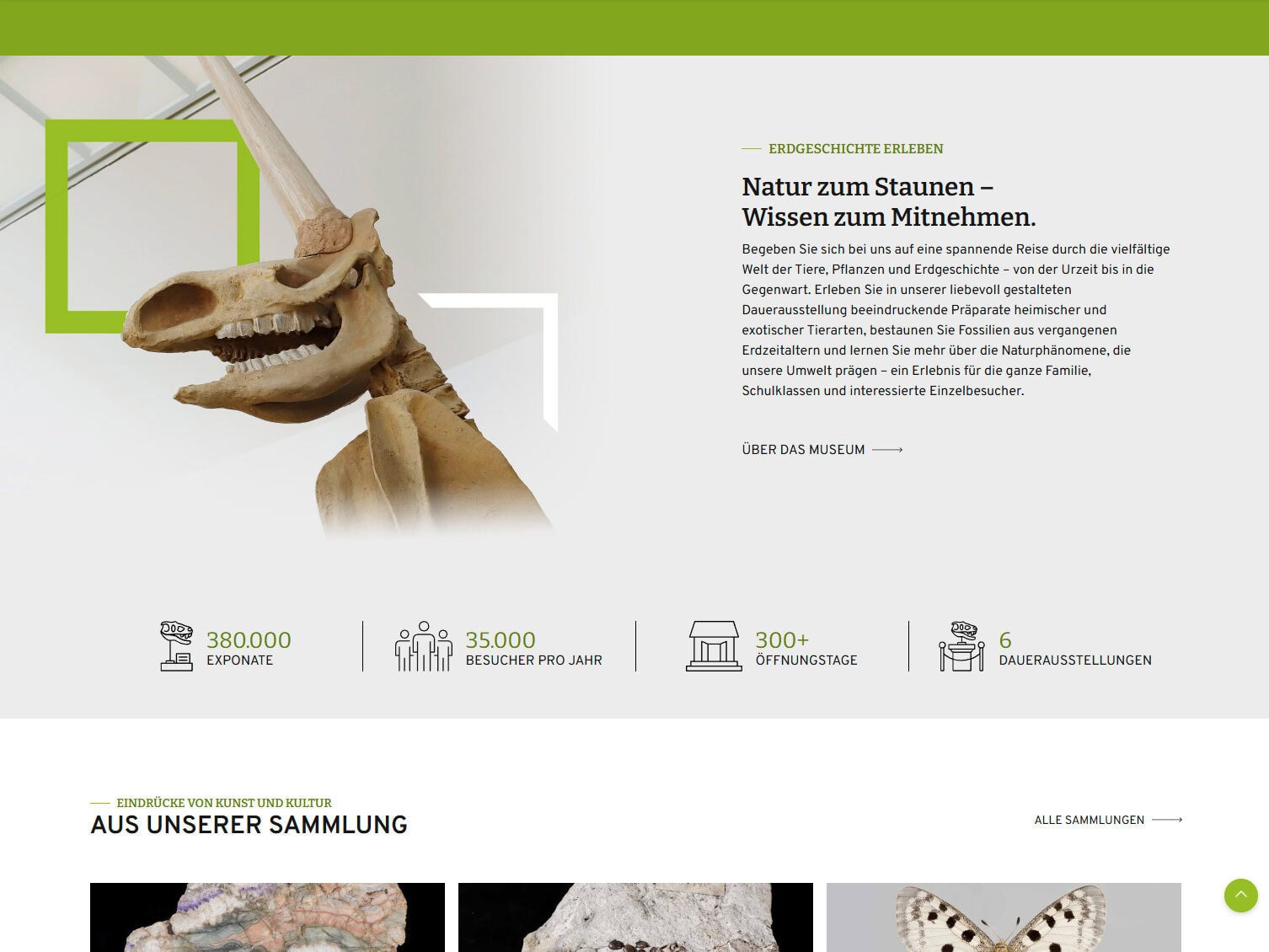 Naturkundemuseum Website Ausschnitt aus der Website des Naturkundemuseums Magdeburg