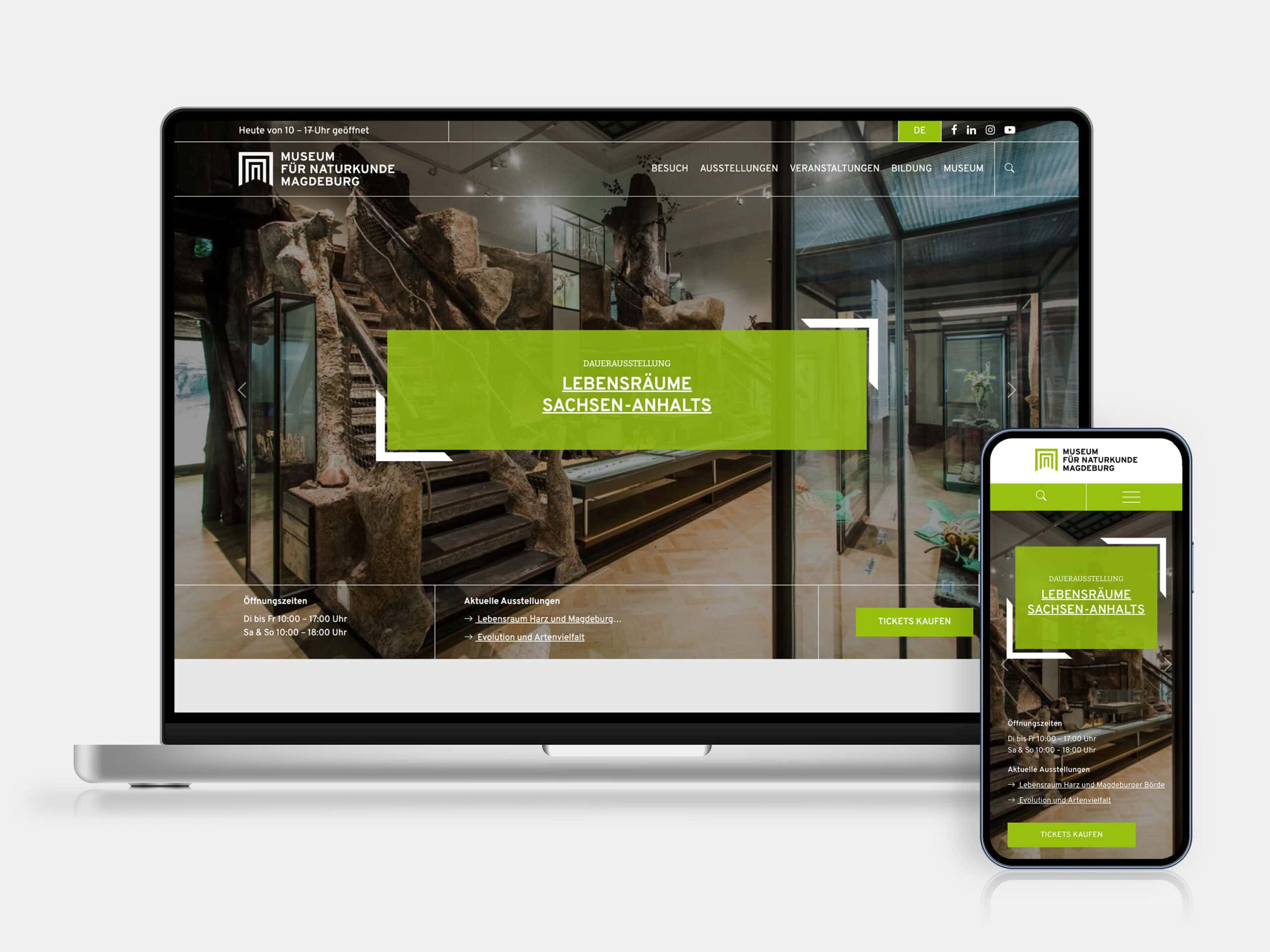 Webdesign Naturkundemuseum Das neue Webdesign des Naturkundemuseums Magdeburg auf Laptop und Smartphone